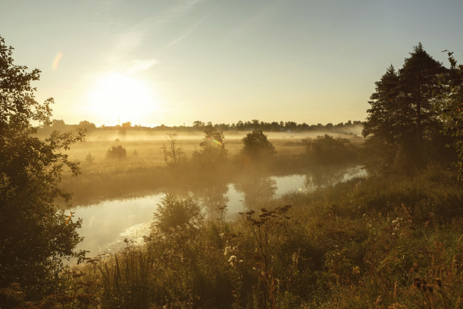 Обои картинки фото природа, реки, озера, горизонт, шевченко, николай, осень, туман, деревья, трава, речка