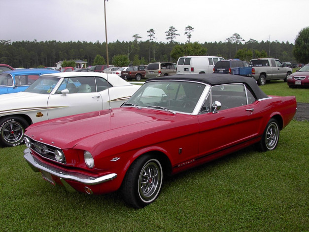 Обои картинки фото 1965, ford, mustang, convertible, classic, автомобили