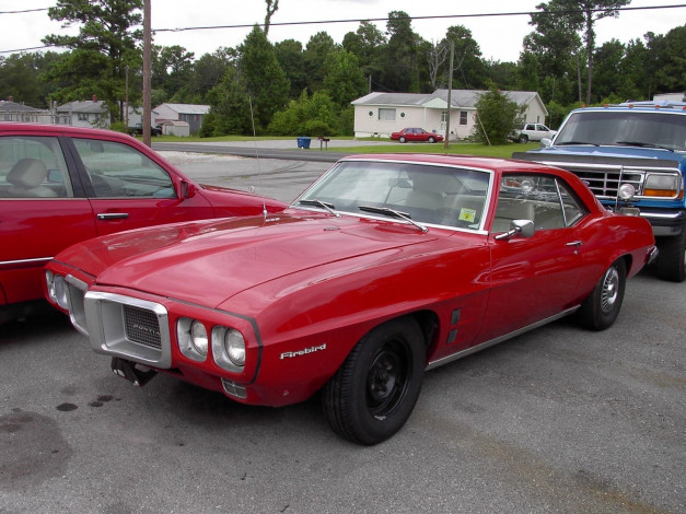 Обои картинки фото 1969, pontiac, firebird, classic, автомобили