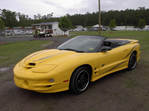 Обои картинки фото 2003, pontiac, trans, am, collector, edition, автомобили