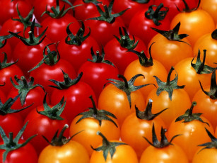 Картинка еда помидоры томаты