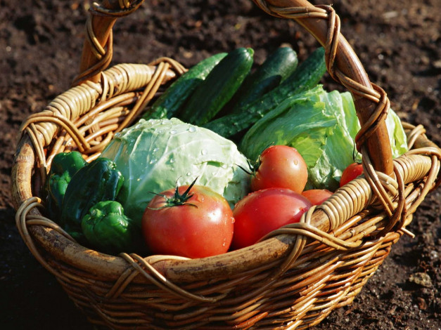 Обои картинки фото еда, овощи, томаты, помидоры