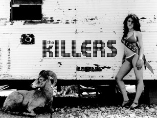 Картинка музыка the killers