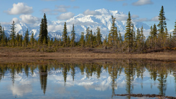 обоя denali, national, park, mount, mckinley, alaska, природа, реки, озера, озеро, ели, облака, деревья, пейзаж, аляска, горы