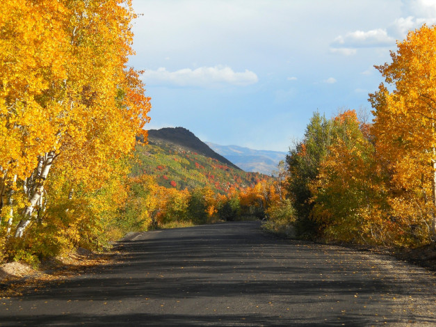 Обои картинки фото природа, дороги, деревья, осень, горы