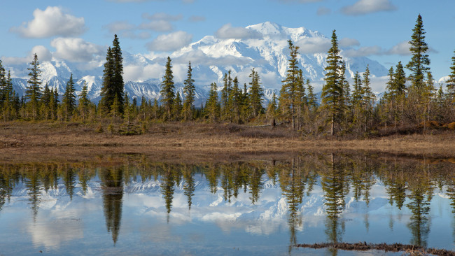 Обои картинки фото denali, national, park, mount, mckinley, alaska, природа, реки, озера, озеро, ели, облака, деревья, пейзаж, аляска, горы