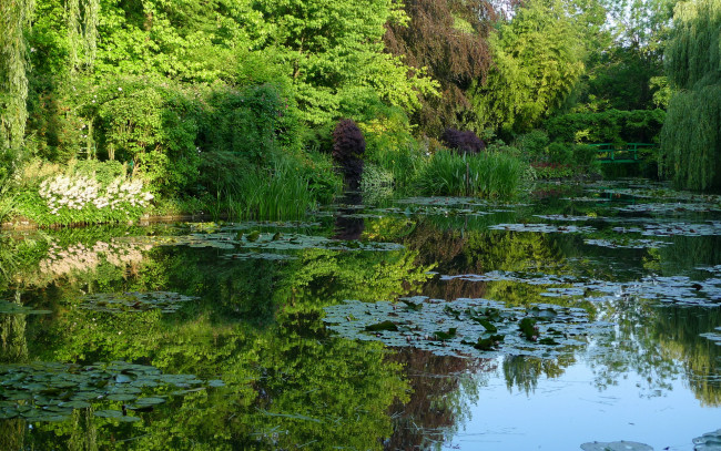 Обои картинки фото природа, парк, пруд, мостик, цветы