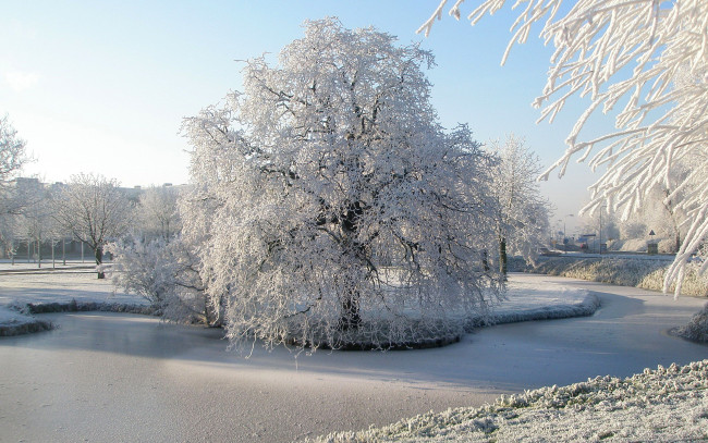 Обои картинки фото природа, зима, иней, снег, река, деревья, парк