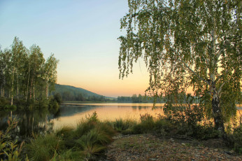 Картинка природа реки озера река береза