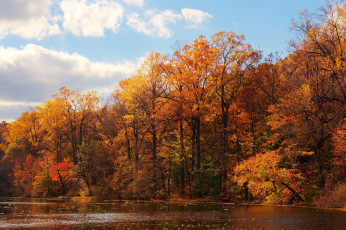 обоя природа, реки, озера, река, лес, осень