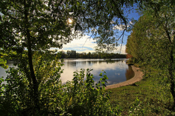 Картинка Ярославль река которосль природа реки озера ярославль деревья побережье