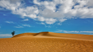 Картинка canary islands spain природа пустыни дерево облака песок дюны испания канарские острова