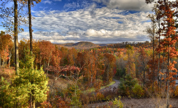 Картинка природа пейзажи осень лес холмы дорога желтые кроны облака