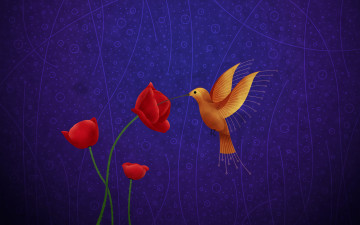 Картинка рисованные vladstudio красные маки колибри птица