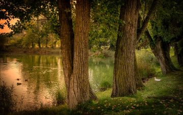 Картинка gerona испания природа парк пруд деревья утки