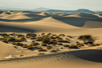 обоя природа, пустыни, следы, барханы, песок