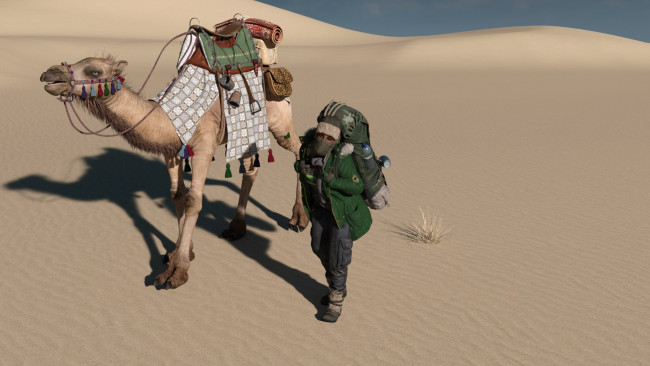Обои картинки фото 3д графика, люди , people, взгляд, девушка, верблюд, пустыня, фон
