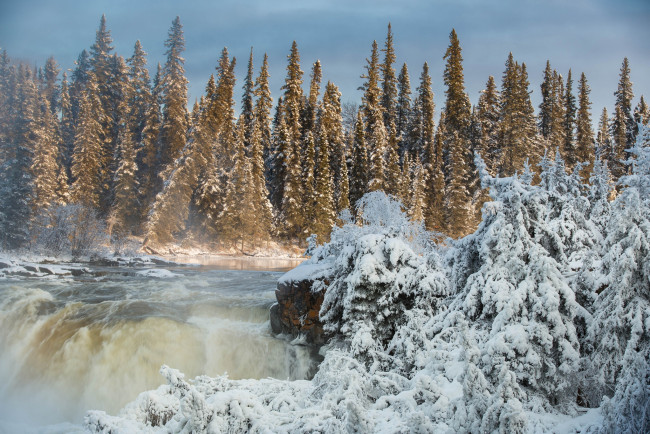 Обои картинки фото природа, реки, озера, зима, водопад, manitoba, pisew, falls, provincial, park, ели, canada, лес, канада, река, манитоба