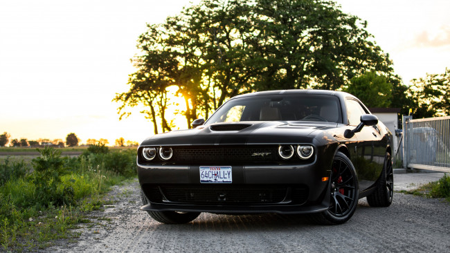 Обои картинки фото автомобили, dodge, challenger