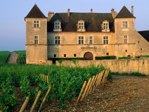 Обои картинки фото clos, de, vougeot, vineyard, france, города, дворцы, замки, крепости