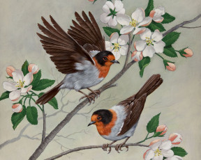 Картинка arthur saron sarnoff рисованные птицы яблоня ветка цветы