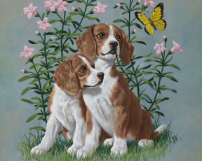 Картинка arthur saron sarnoff рисованные щенки бабочка цветы собаки
