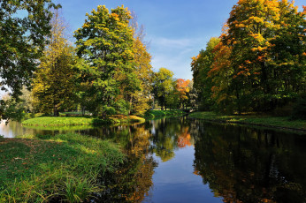 Картинка природа парк водоем трава деревья осень