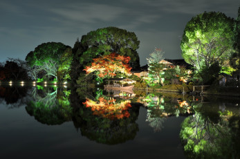 Картинка природа парк Япония japan