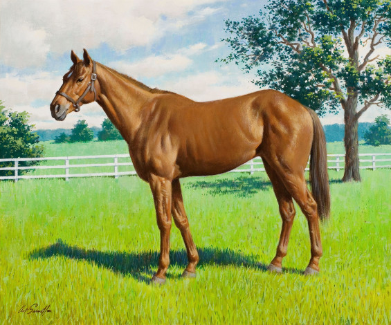 Обои картинки фото arthur, saron, sarnoff, рисованные, лошадь