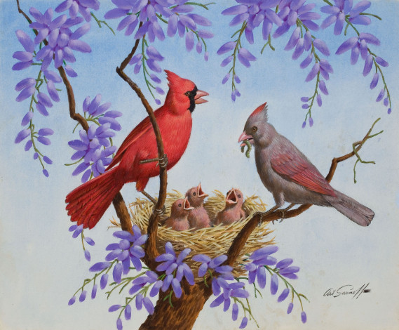 Обои картинки фото arthur, saron, sarnoff, рисованные, птицы, птенцы, гнездо