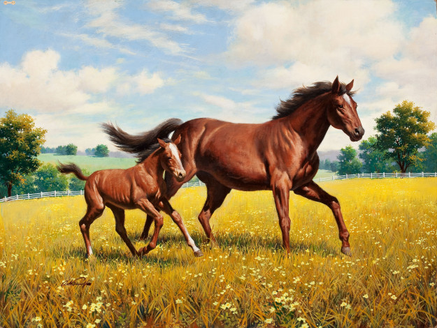 Обои картинки фото arthur, saron, sarnoff, рисованные, луг, жеребёнок, лошадь
