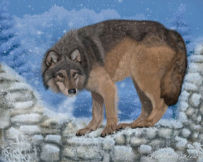 обоя рисованные, животные, волки, волк, снег