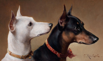 Картинка рисованные животные собаки ошейники c  reichert бантики ленты