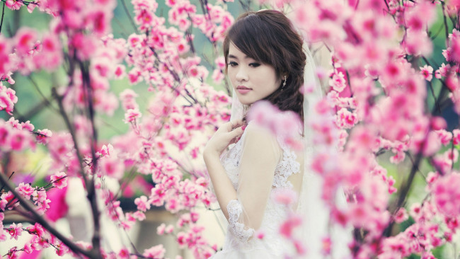 Обои картинки фото девушки, - азиатки, сакура, азиатка, весна, цветение