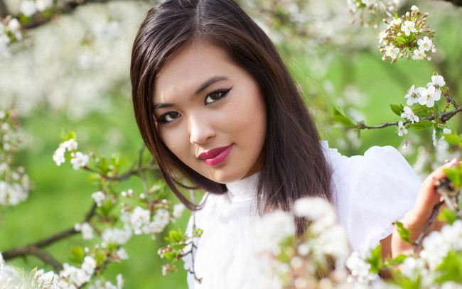 Обои картинки фото девушки, - азиатки, весна, азиатка, цветущая, вишня