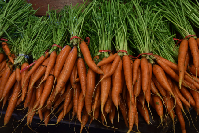 Обои картинки фото еда, морковь, молодая, пучки