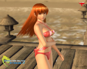 Картинка видео игры dead or alive xtreme