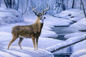обоя рисованные, животные, олени, лес, снег, олень, зима