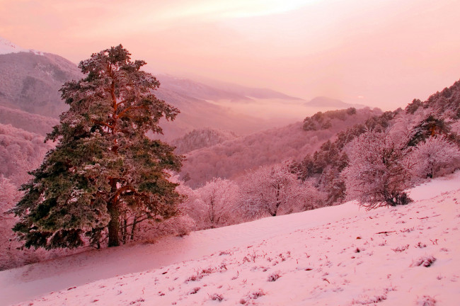 Обои картинки фото природа, зима, пейзаж, снег, горы, деревья