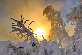 Картинка природа зима снег солнце