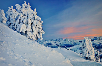 Картинка природа зима горы снег деревья пейзаж