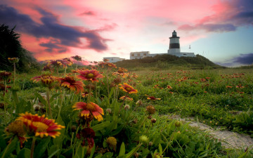 Картинка природа маяки поле цветы маяк тучи