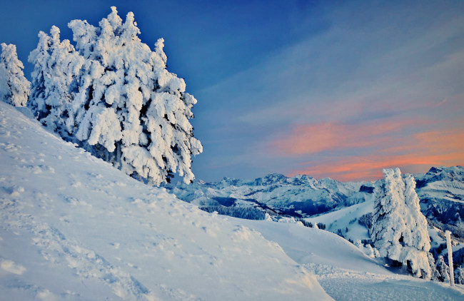 Обои картинки фото природа, зима, горы, снег, деревья, пейзаж