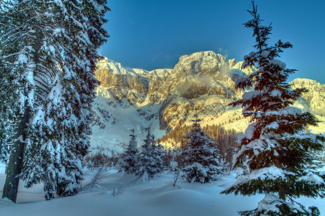 Обои картинки фото austrian, alps, природа, зима, снег, ели