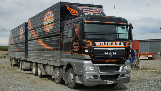 Обои картинки фото 2012 man tgx truck, автомобили, man, se, грузовые, автобусы, двигатели, германия