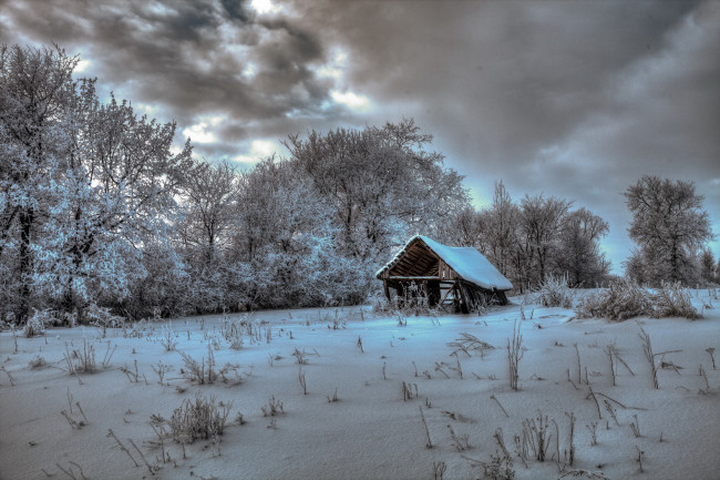 Обои картинки фото природа, зима, облака, деревья, снег