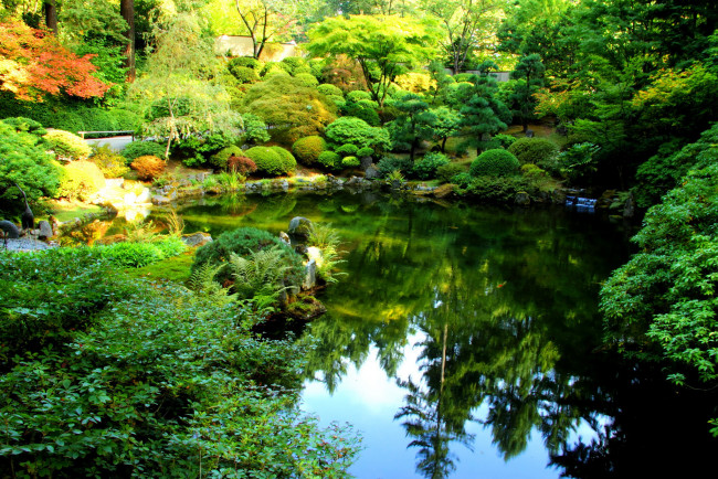 Обои картинки фото portland japanese garden, природа, парк, кусты, пруд, цветы, деревья, сад, орегон, сша