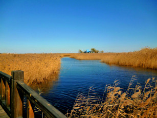 Картинка тихий+край природа реки озера осень поле вода