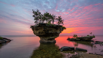 Картинка природа побережье горизонт деревья океан бухта скала