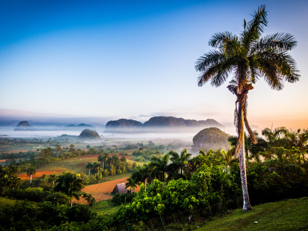 Обои картинки фото природа, тропики, остров, туман, пальмы